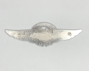 USCG Auxiliary air crew wings device - back